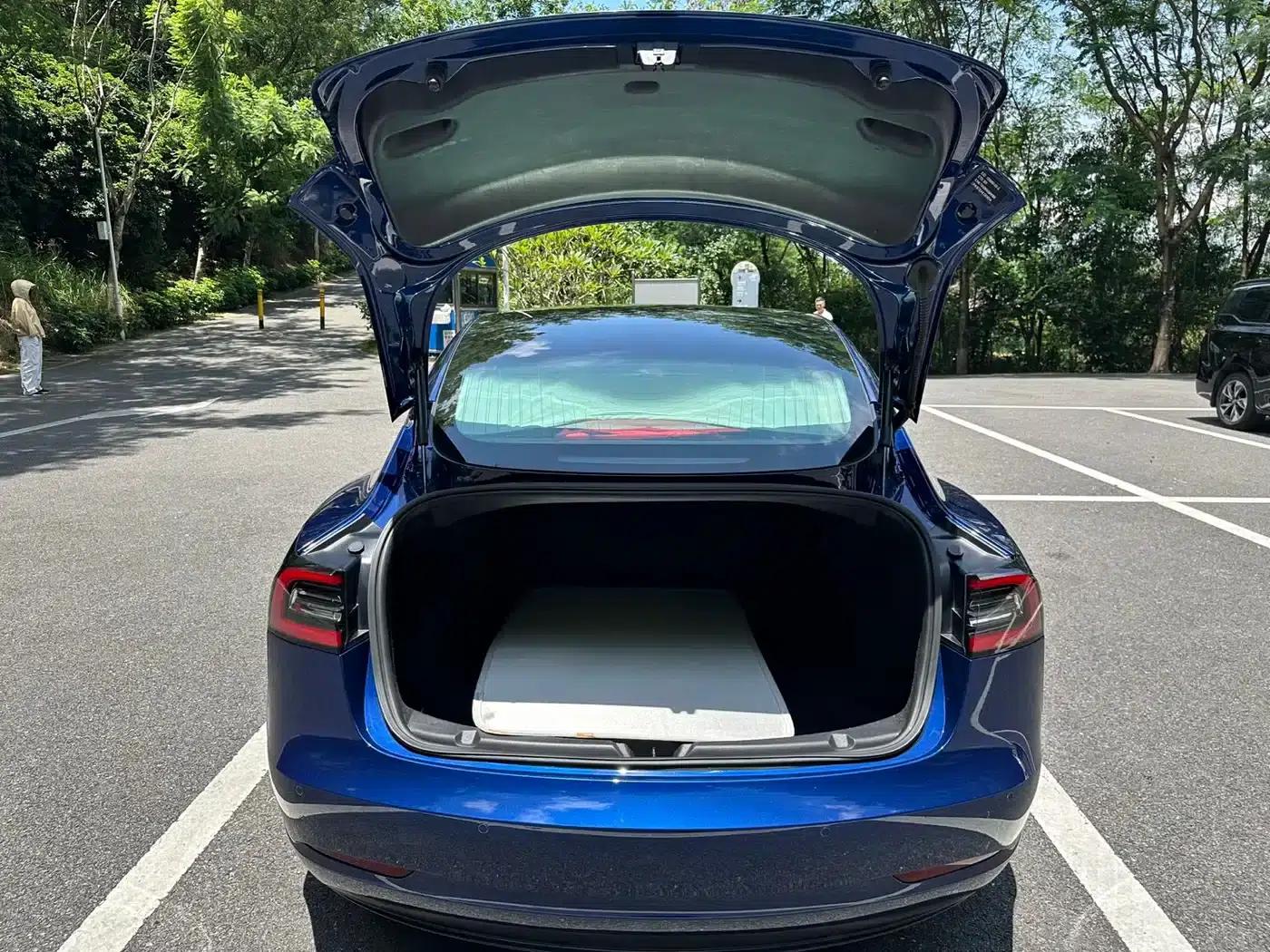Model 3 2020 Standard Range Rear-Wheel Drive Upgrade — миниатюра 16