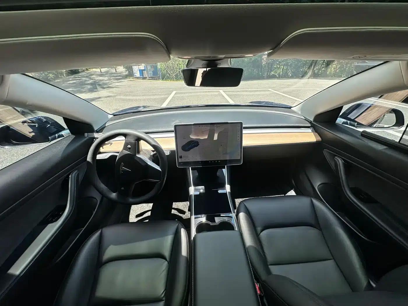 Model 3 2020 Standard Range Rear-Wheel Drive Upgrade — миниатюра 7