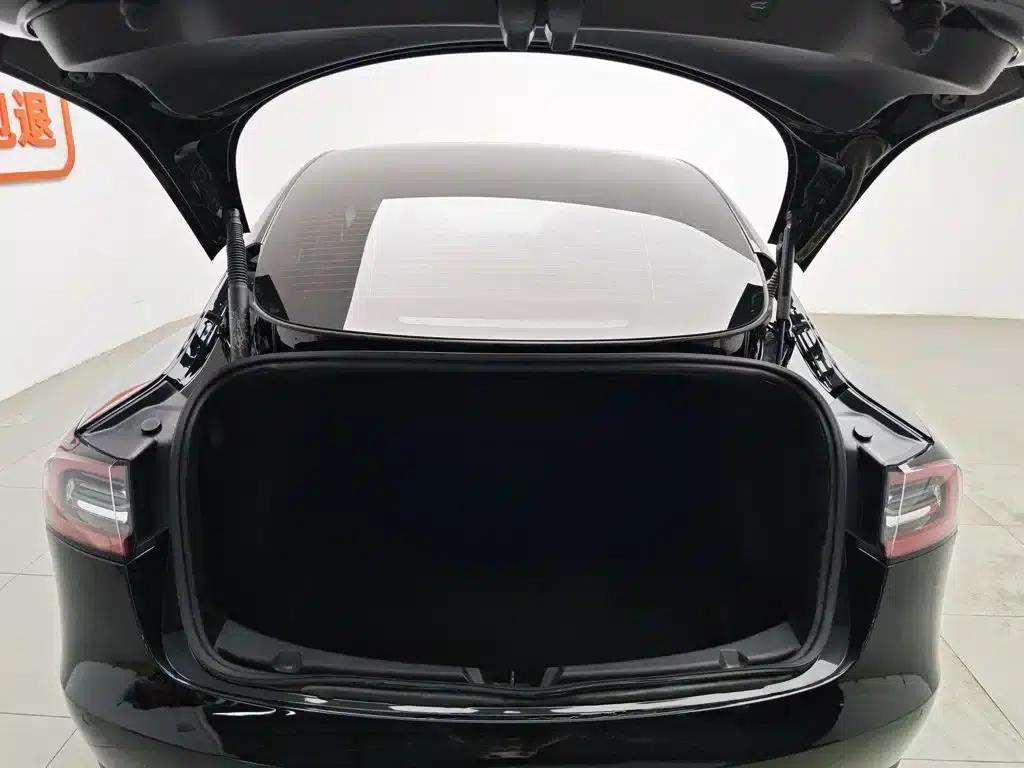 Model 3 2021 Performance All-Wheel Drive — миниатюра 16