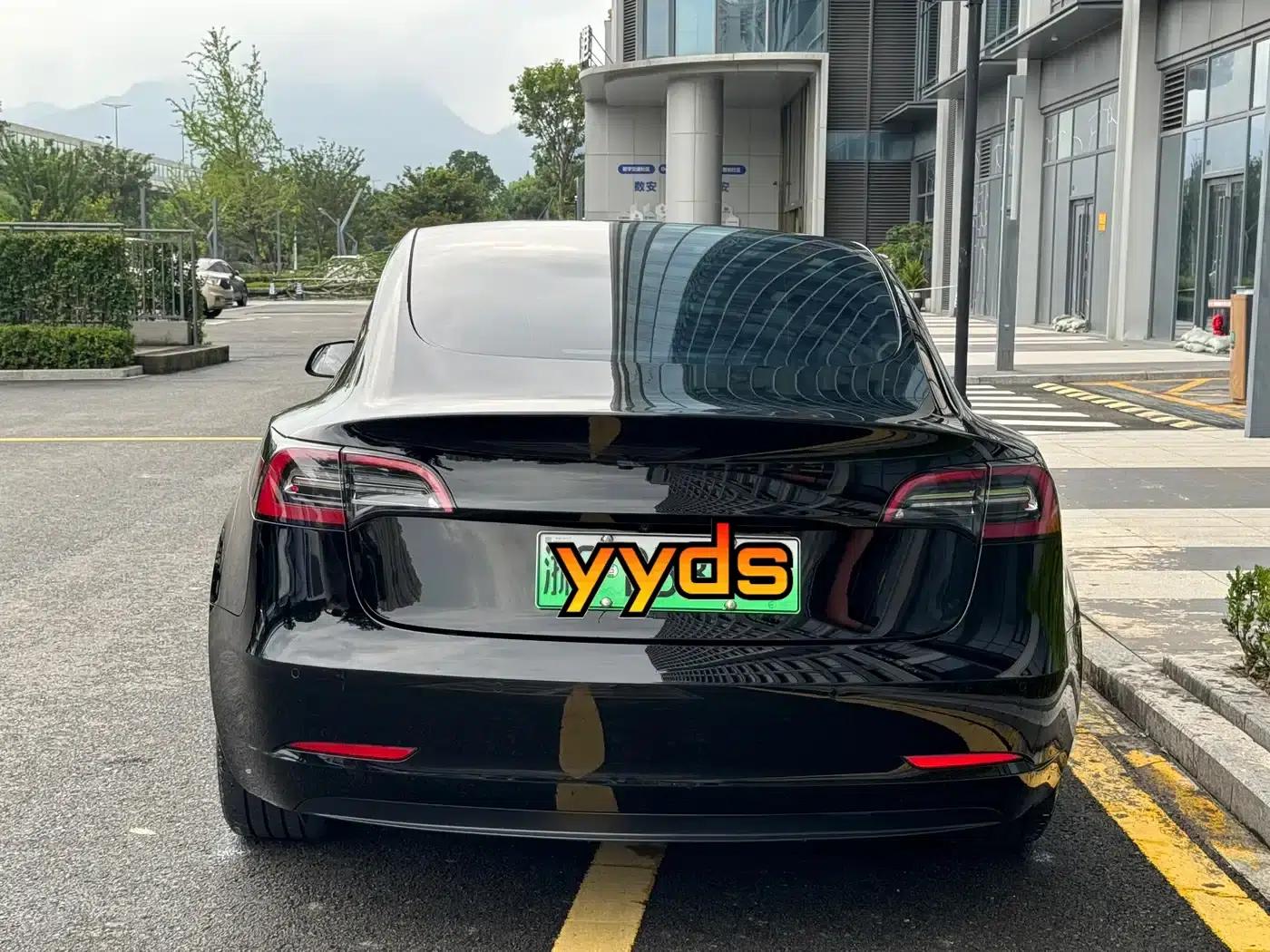 Model 3 2021 Standard Range Rear-Wheel Drive Upgrade — миниатюра 4