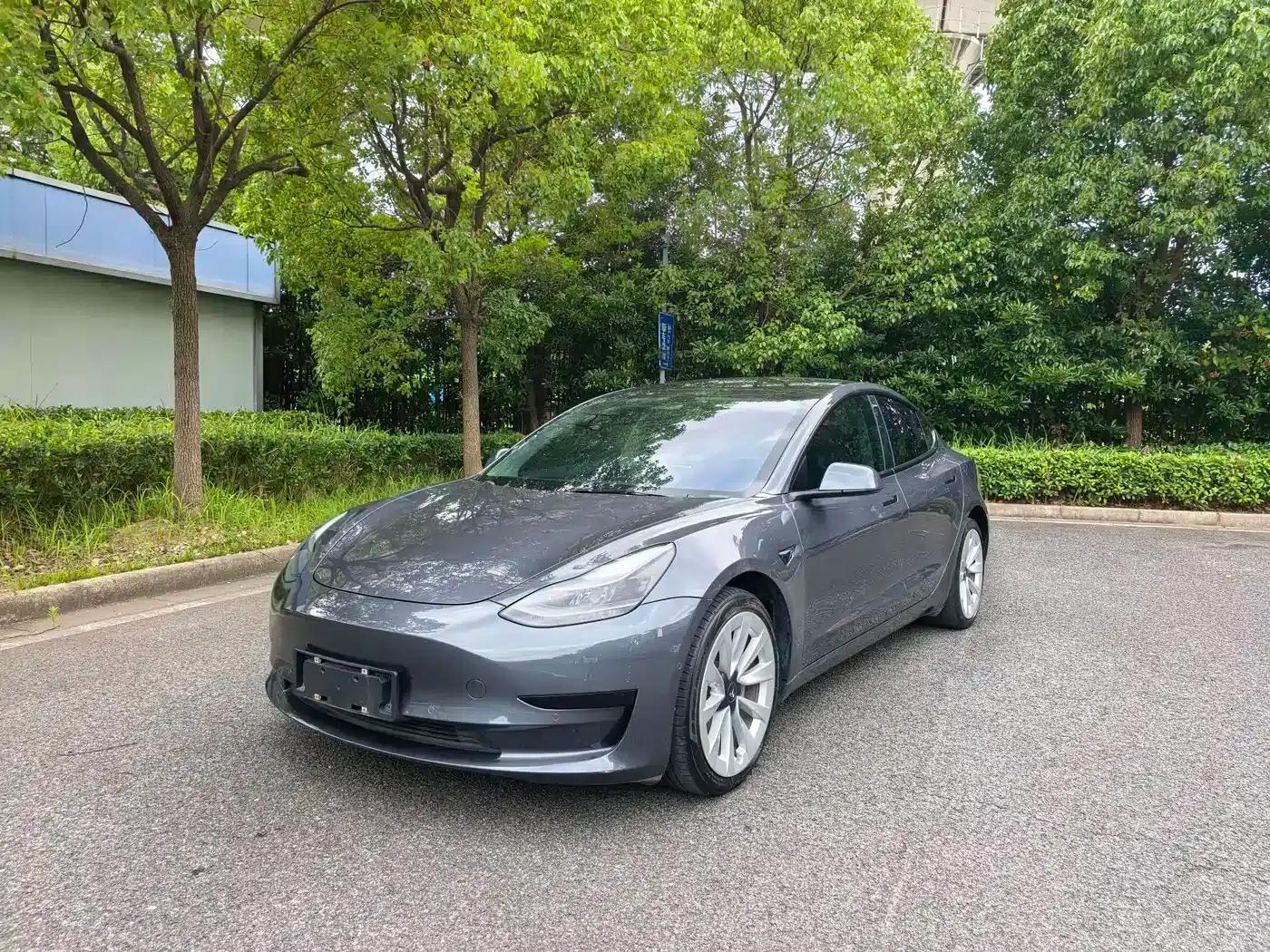 Model 3 2021 Facelift Standard Range Rear-Wheel Drive Upgrade Version 3D1 — миниатюра 1