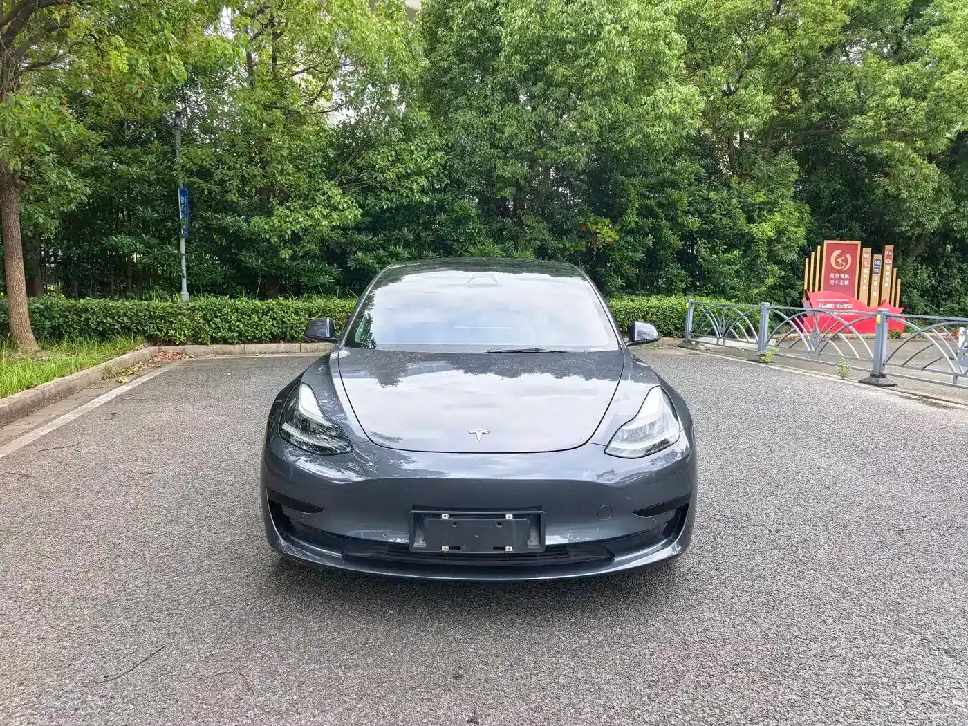 Model 3 2021 Facelift Standard Range Rear-Wheel Drive Upgrade Version 3D1 — миниатюра 2