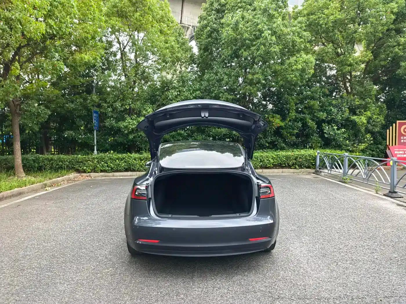 Model 3 2021 Facelift Standard Range Rear-Wheel Drive Upgrade Version 3D1 — миниатюра 16