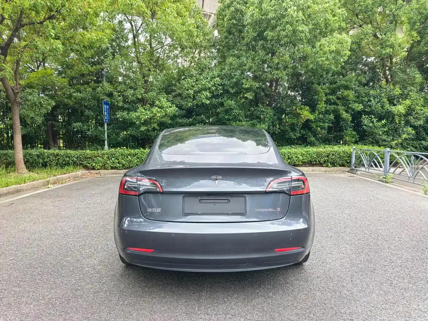 Model 3 2021 Facelift Standard Range Rear-Wheel Drive Upgrade Version 3D1 — миниатюра 6