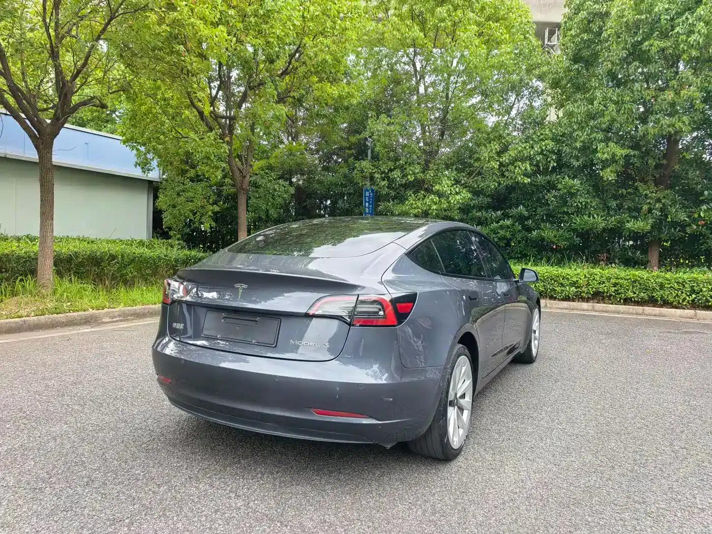 Model 3 2021 Facelift Standard Range Rear-Wheel Drive Upgrade Version 3D1 — миниатюра 7