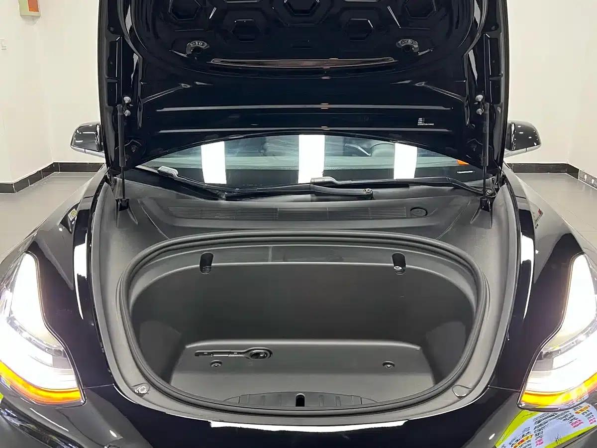 Model 3 2020 Facelift Standard Range Rear-Wheel Drive Upgrade — миниатюра 12