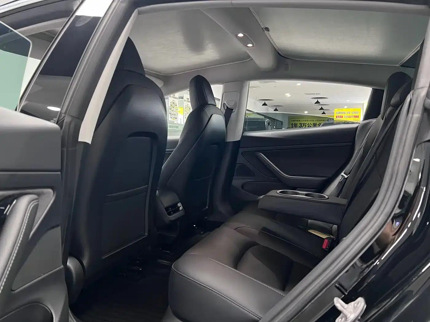 Model 3 2020 Facelift Standard Range Rear-Wheel Drive Upgrade — миниатюра 23