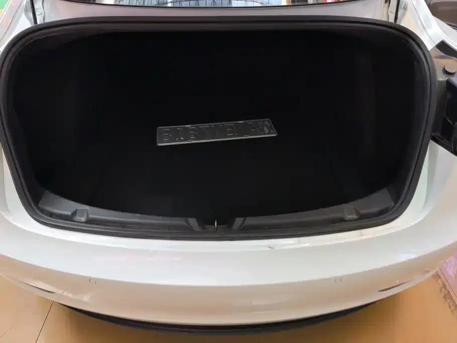 Model 3 2020 Standard Range Rear-Wheel Drive Upgrade — миниатюра 4