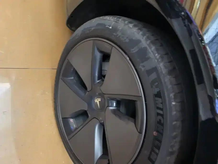 Model 3 2022 Rear-Wheel Drive — миниатюра 6