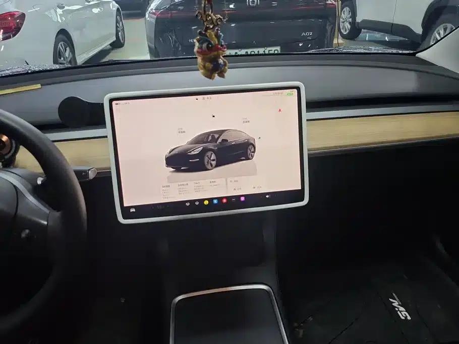 Model 3 2022 Rear-Wheel Drive — миниатюра 13