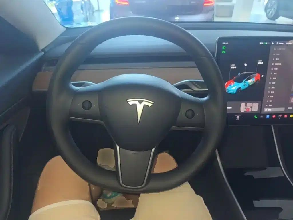 Model 3 2020 Facelift Long Range Rear-Wheel Drive — миниатюра 11