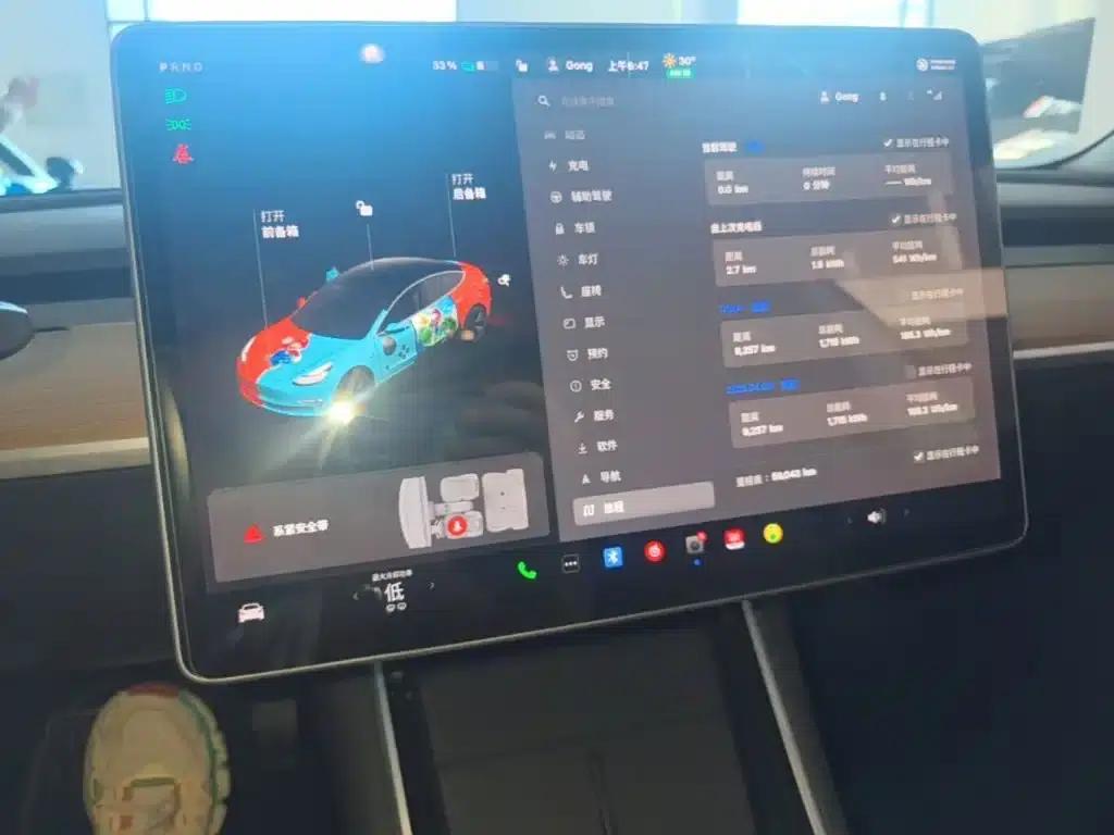 Model 3 2020 Facelift Long Range Rear-Wheel Drive — миниатюра 13