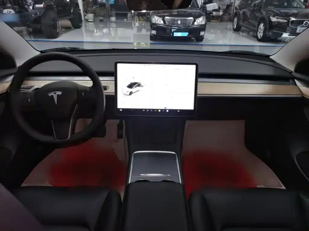 Model 3 2022 Rear-Wheel Drive — миниатюра 10