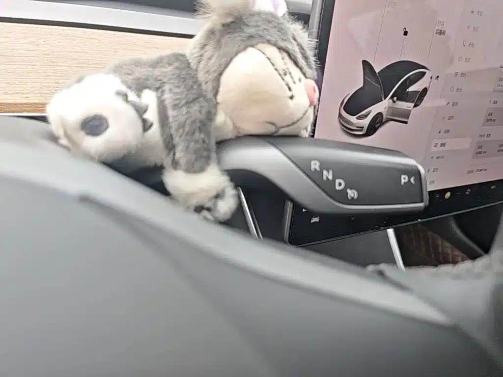 Model 3 2020 Facelift Long Range Rear-Wheel Drive — миниатюра 14