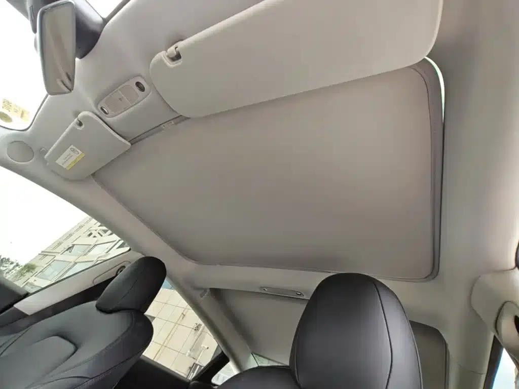 Model 3 2019 Standard Range Rear-Wheel Drive Upgrade — миниатюра 17