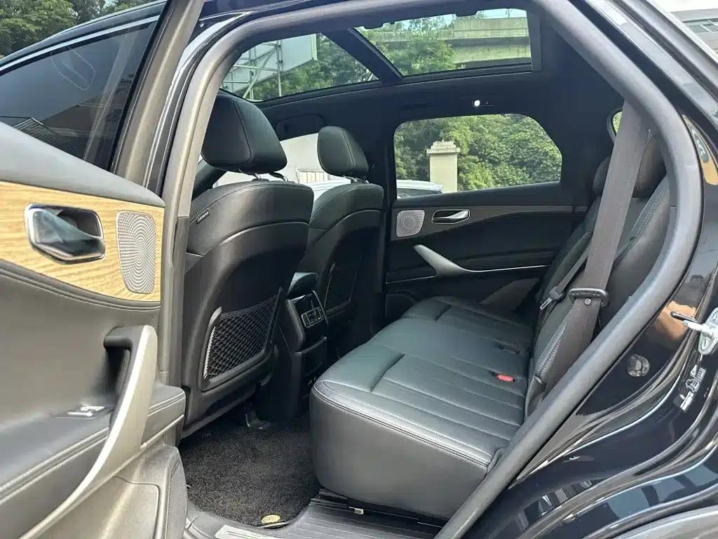Denza X 2020 PHEV Classic Edition — миниатюра 6