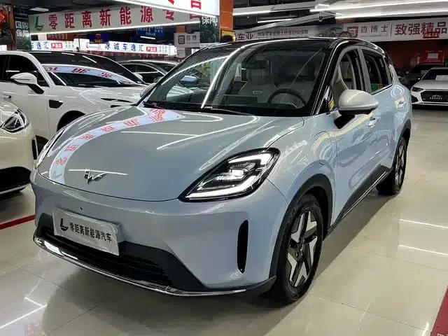 Bingo S 2025 Flagship Model 430km