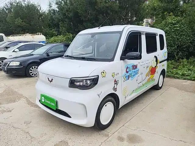 Wuling Sunshine New Energy 2025 Model 201km Standard Edition