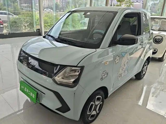 Dongfeng Fengon MINIEV 2022 Shishi Style Luxury Version