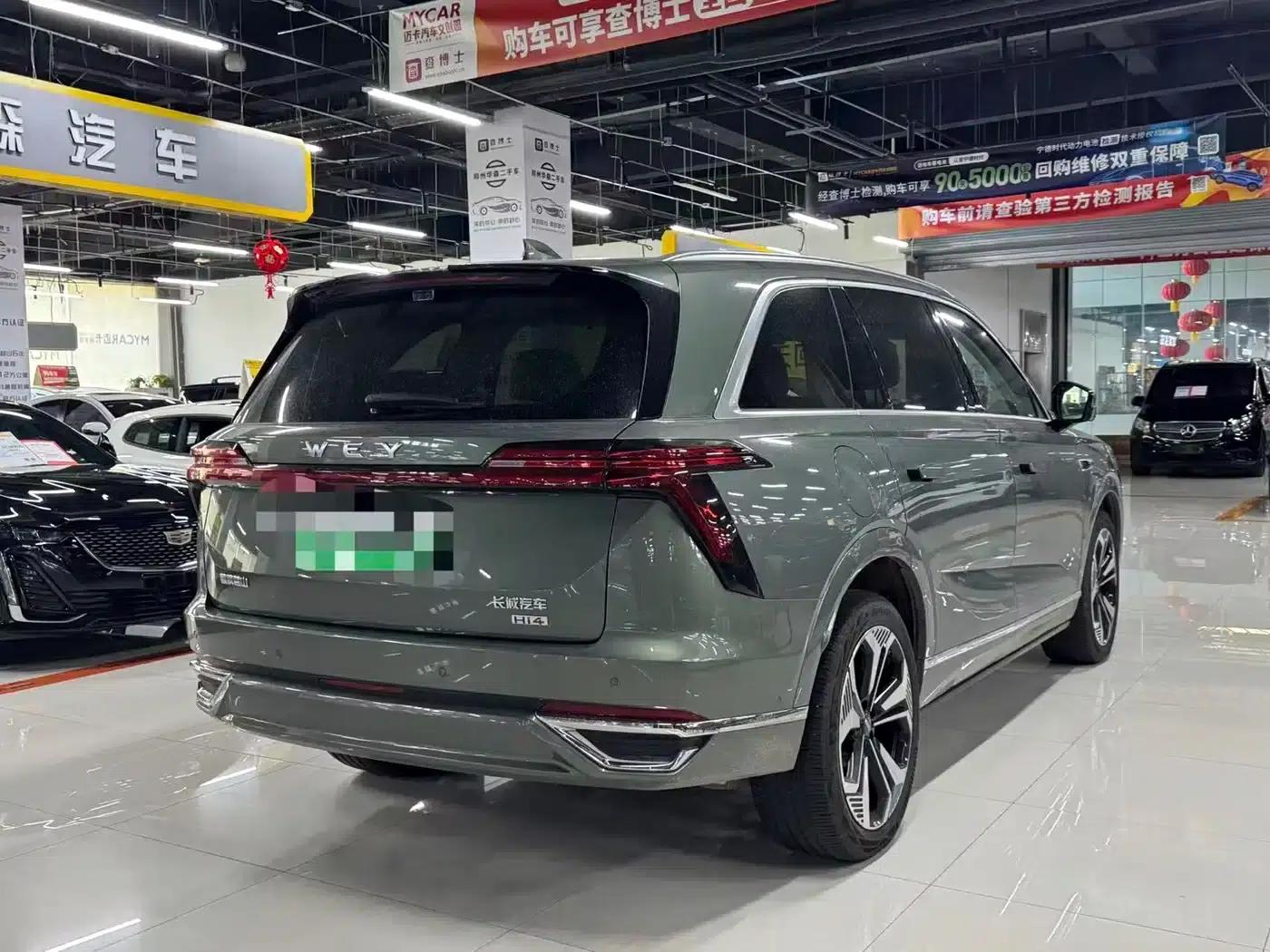 Weipai Blue Mountain 2025 Four-Wheel Drive Ultra — миниатюра 9
