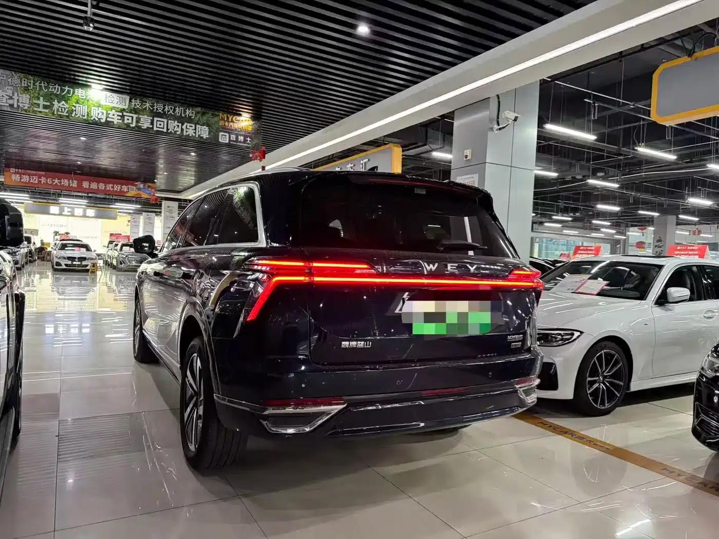 Weipai Blue Mountain 2025 4WD Max — миниатюра 7