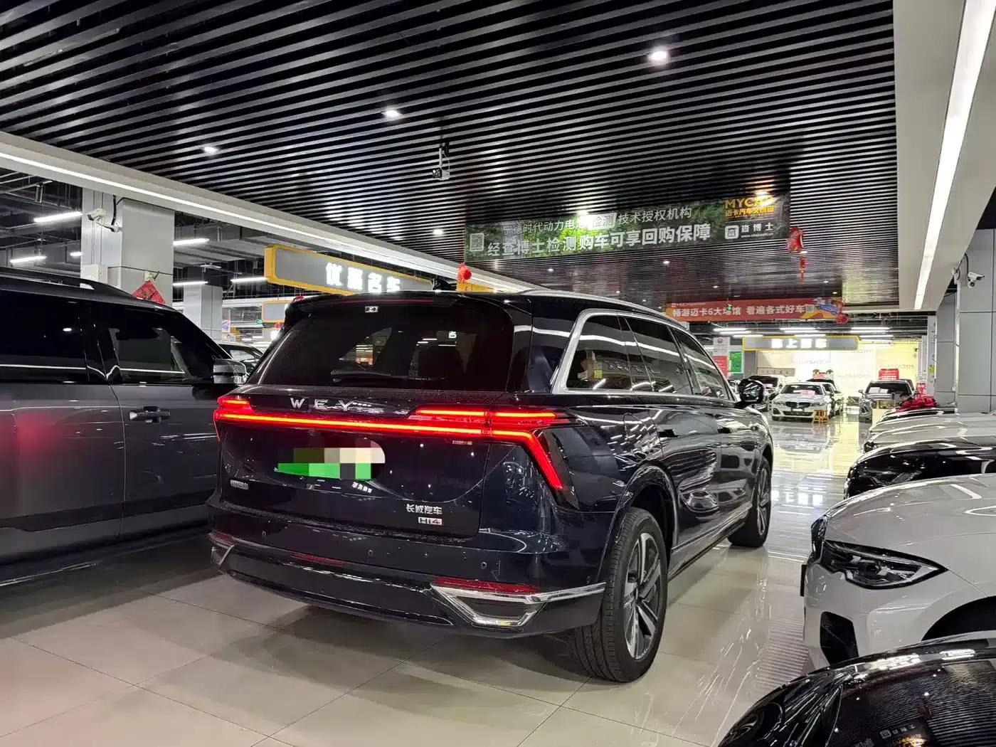 Weipai Blue Mountain 2025 4WD Max — миниатюра 9