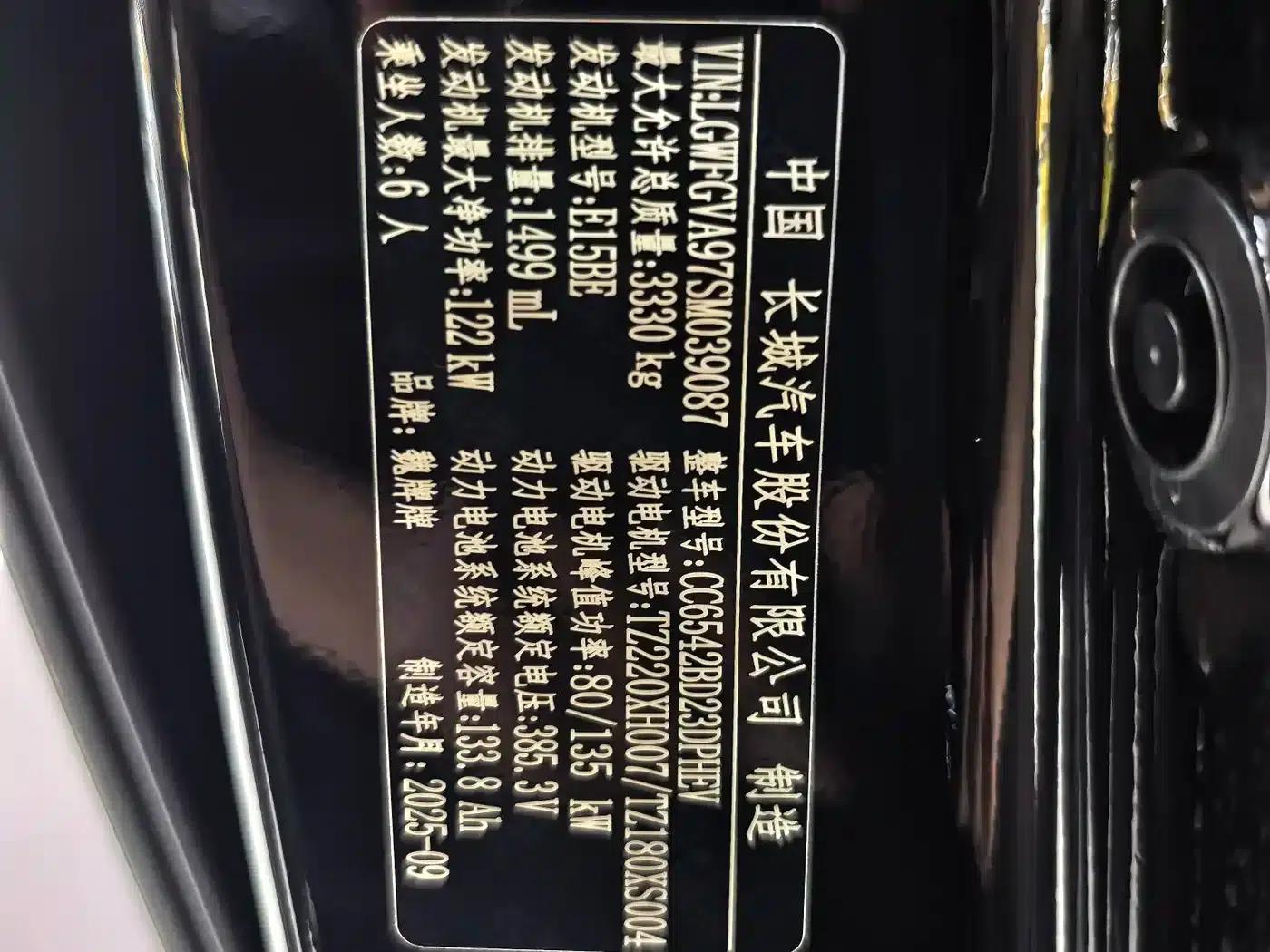 Weipai Gaoshan 2025 Model 4WD Gaoshan 9 — миниатюра 12