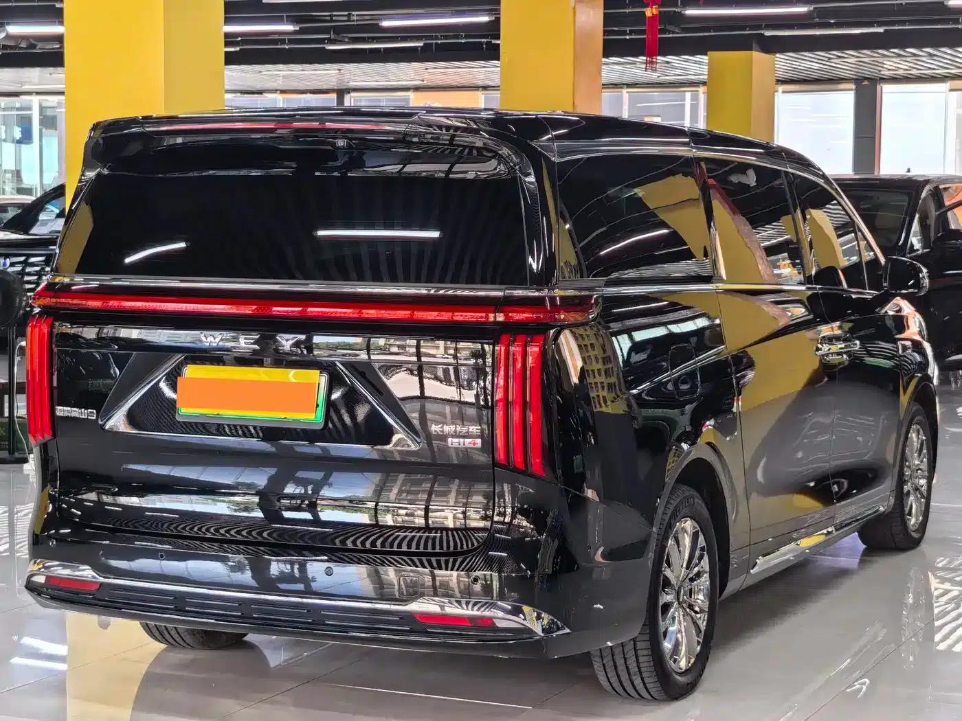 Weipai Gaoshan 2025 Model 4WD Gaoshan 9 — миниатюра 16