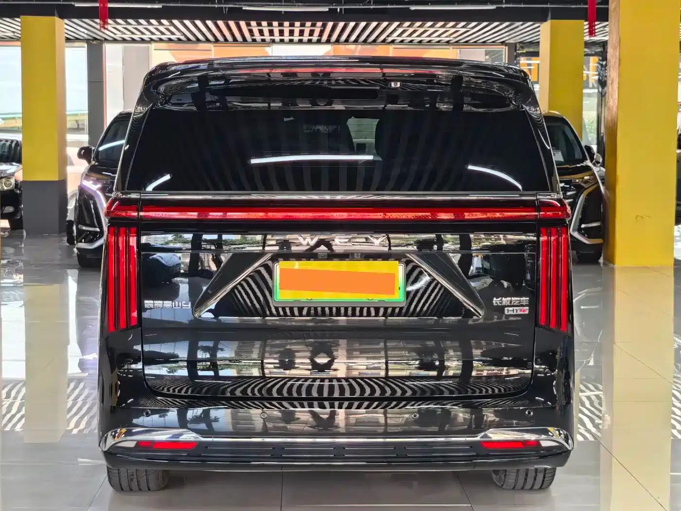 Weipai Gaoshan 2025 Model 4WD Gaoshan 9 — миниатюра 17