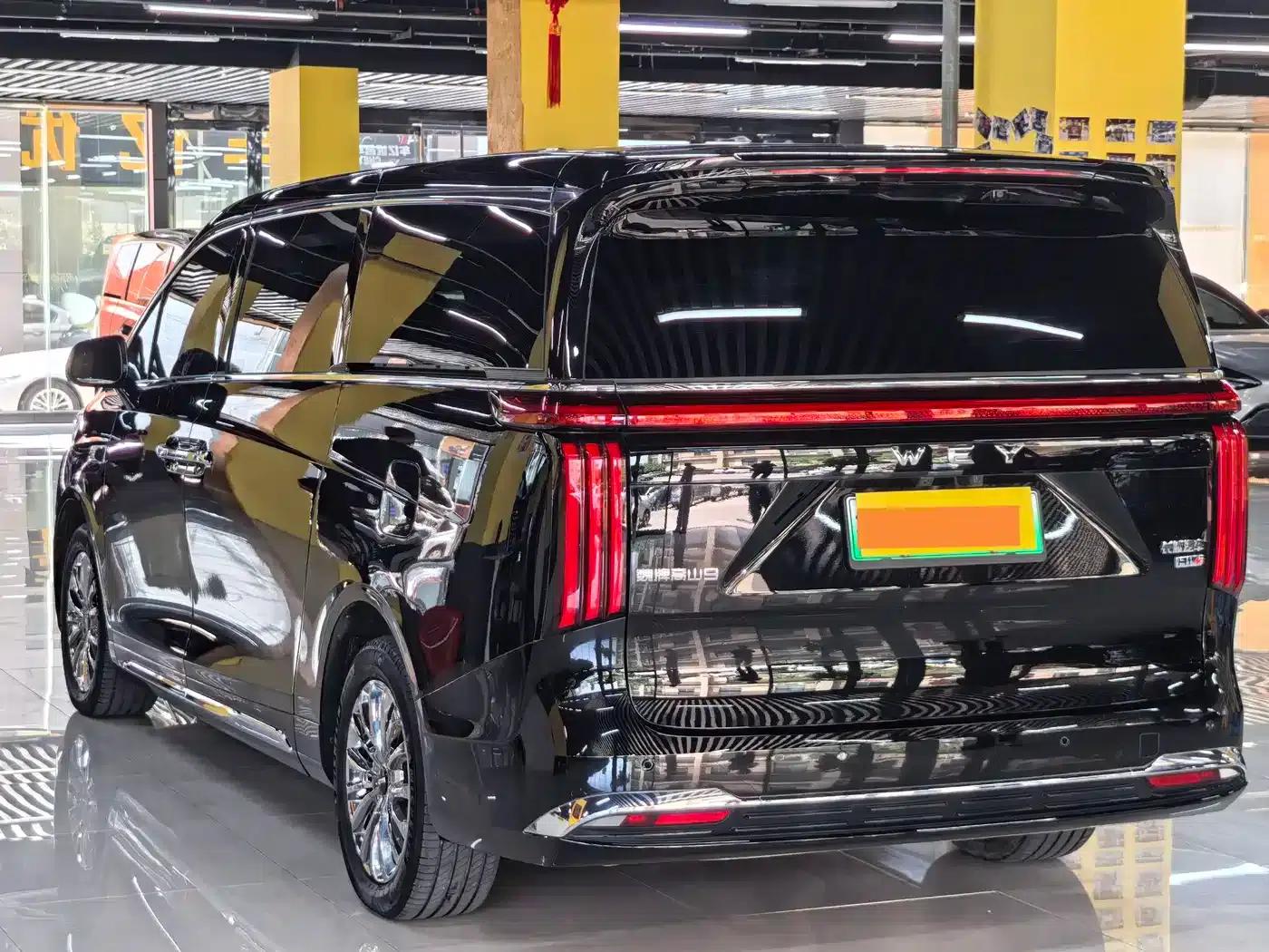 Weipai Gaoshan 2025 Model 4WD Gaoshan 9 — миниатюра 18
