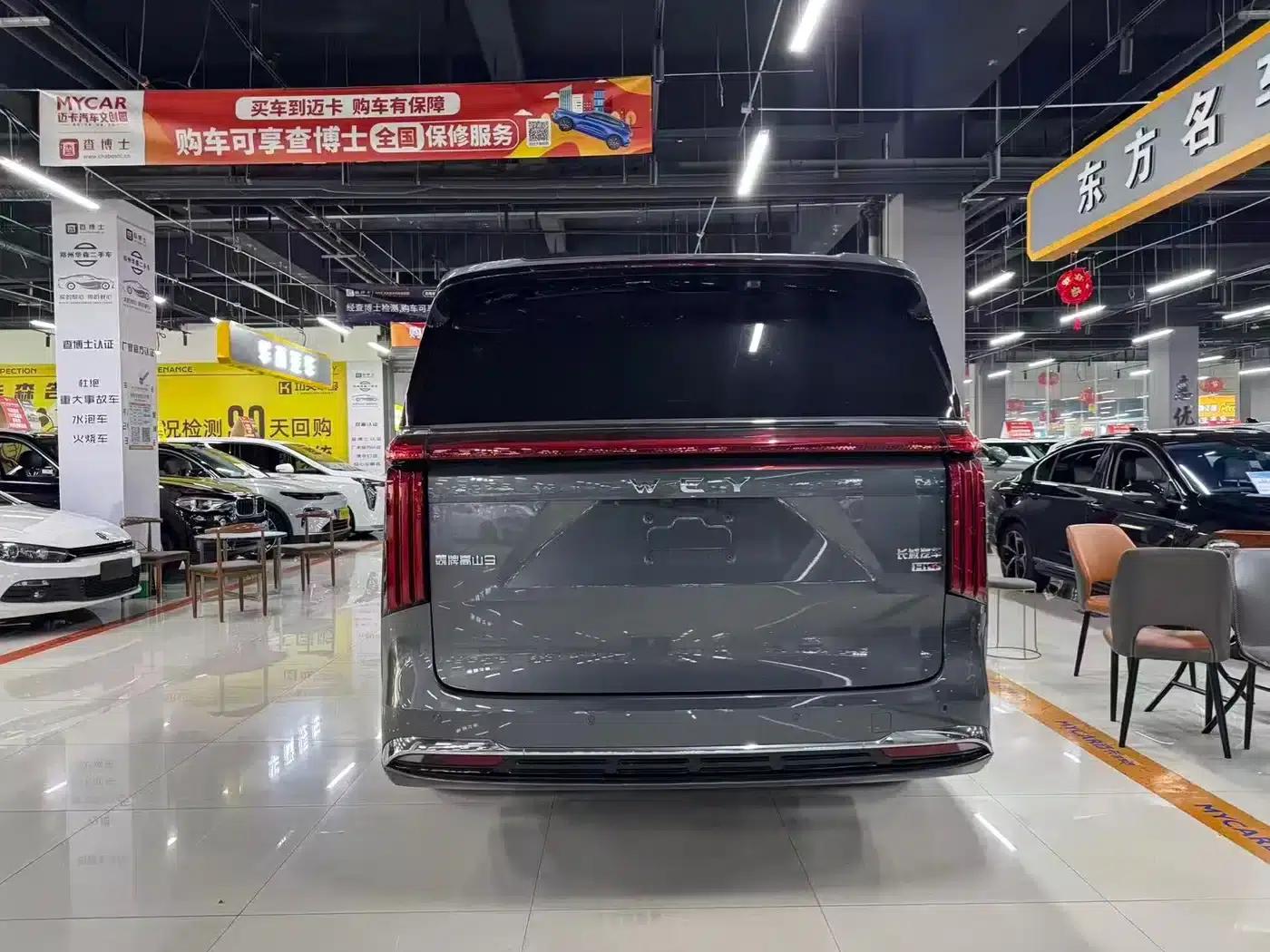 Weipai Gaoshan 2025 Model 4WD Gaoshan 9 — миниатюра 9
