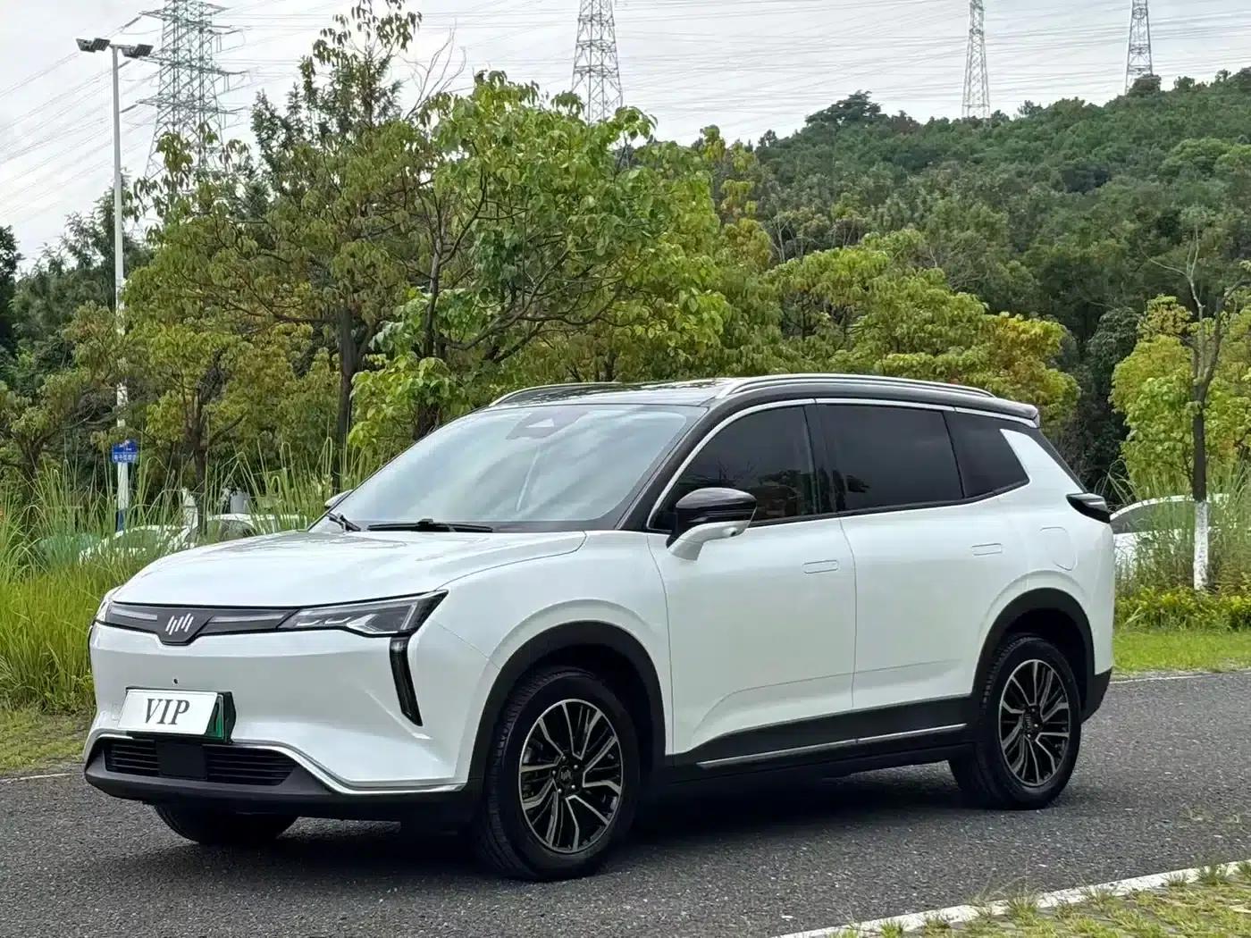 Weltmeister W6 2021 520km PRO All-Round Edition — миниатюра 1