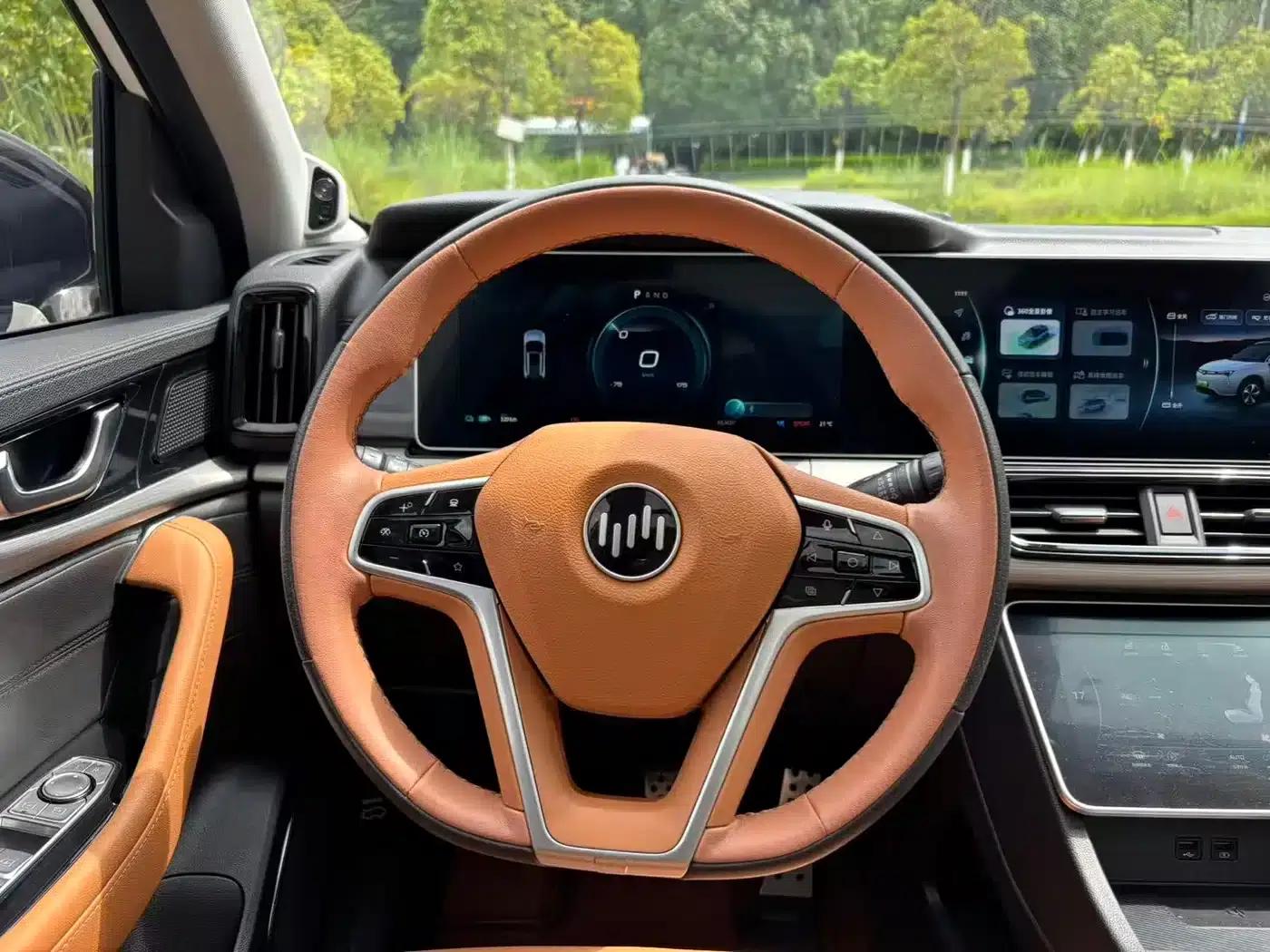 Weltmeister W6 2021 520km PRO All-Round Edition — миниатюра 11