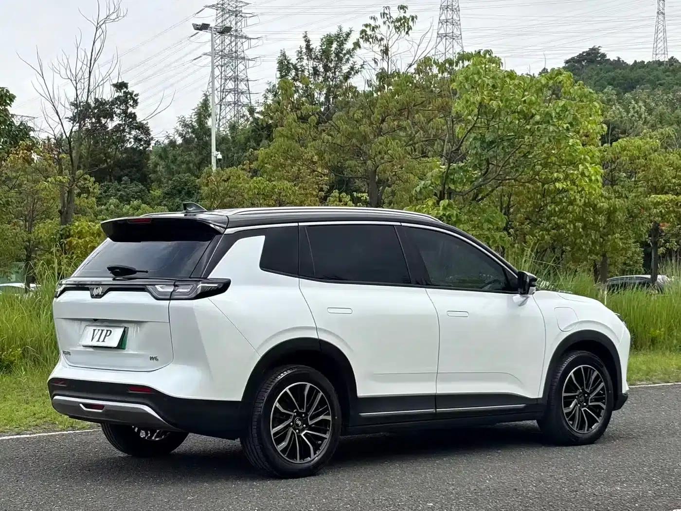 Weltmeister W6 2021 520km PRO All-Round Edition — миниатюра 4