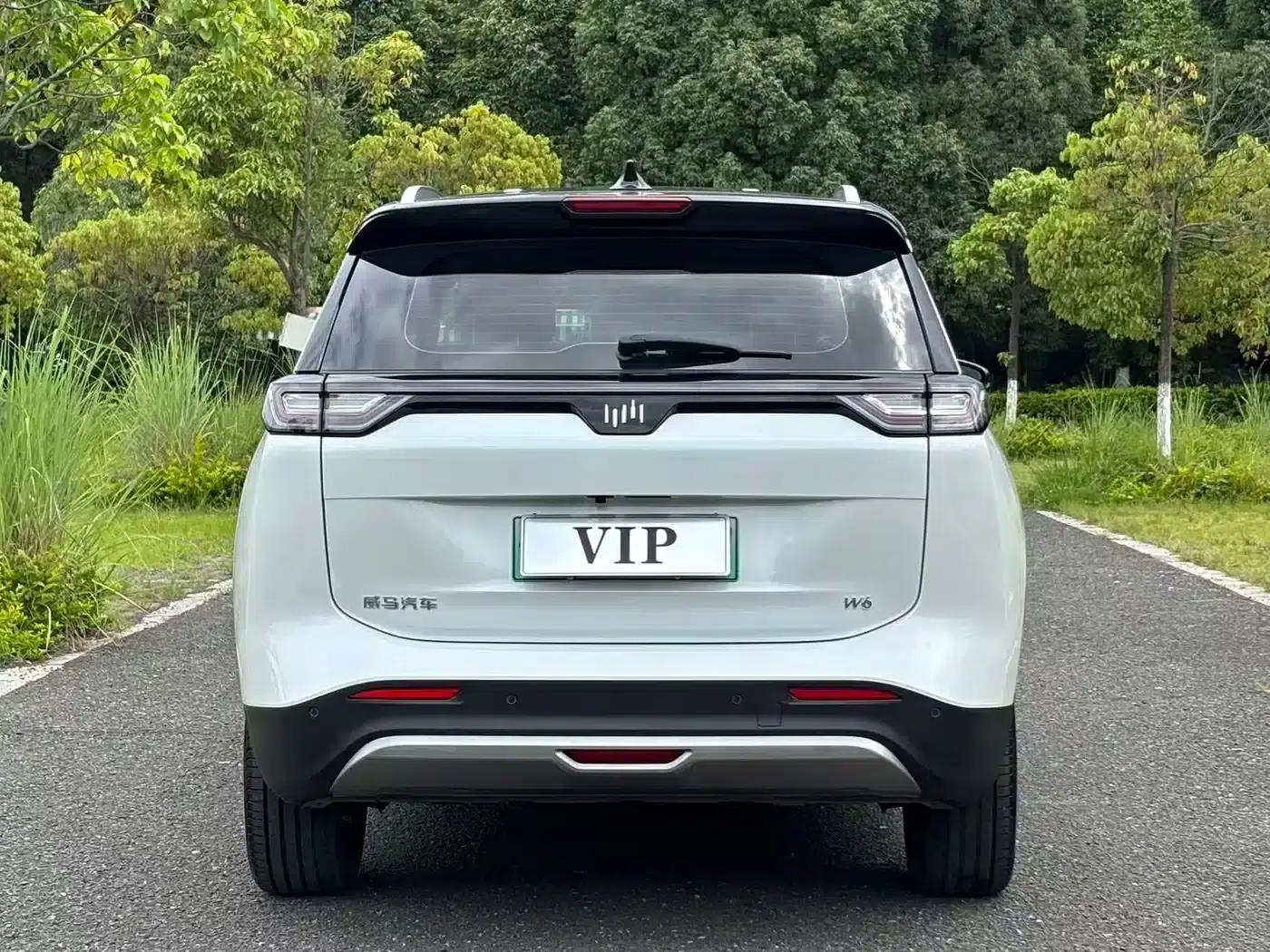 Weltmeister W6 2021 520km PRO All-Round Edition — миниатюра 5