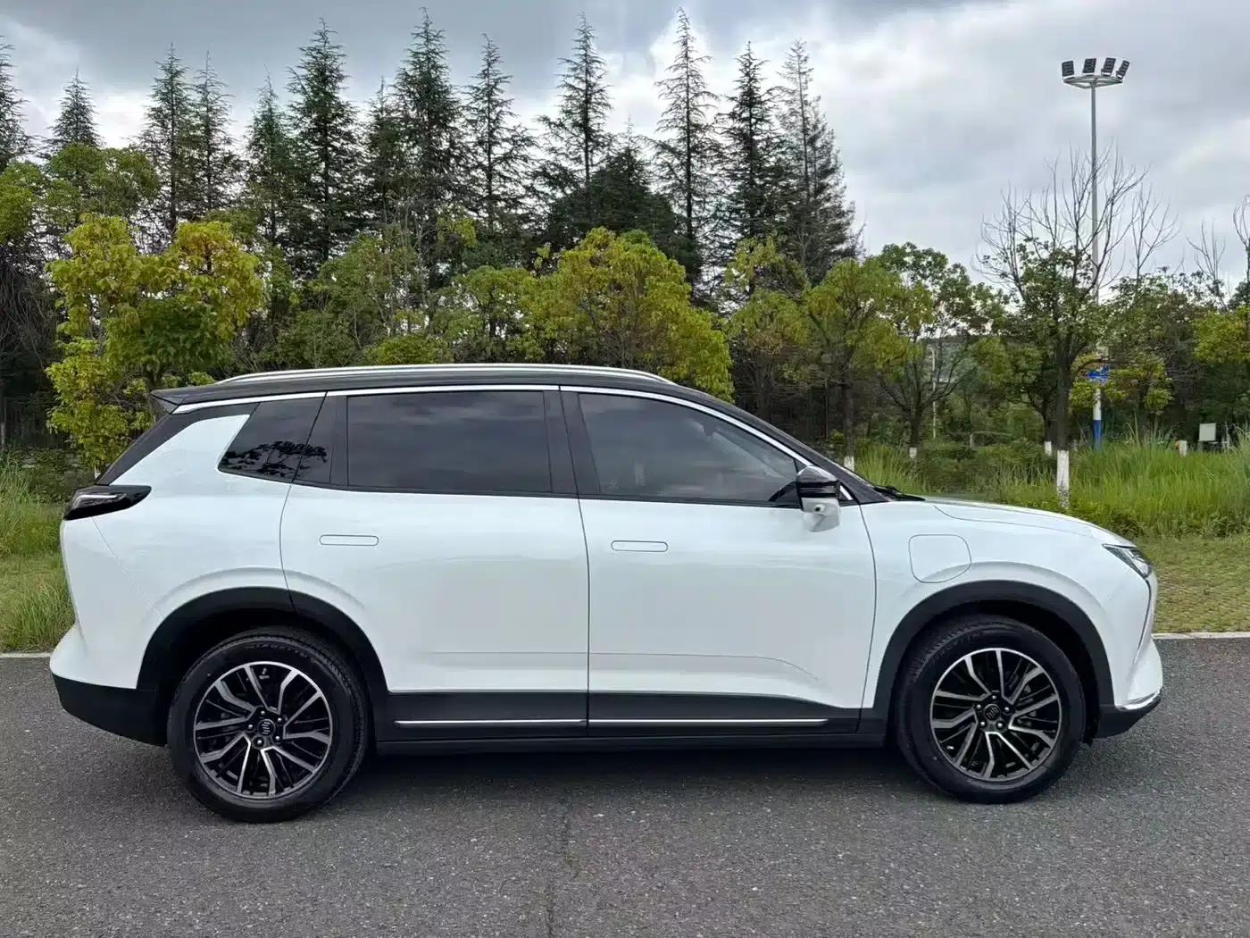 Weltmeister W6 2021 520km PRO All-Round Edition — миниатюра 10