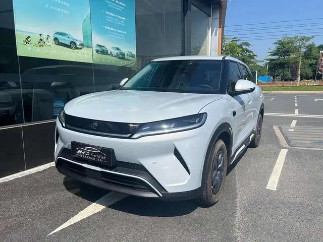 Yuan UP 2025 Smart Driving Edition 401KM Vitality Edition