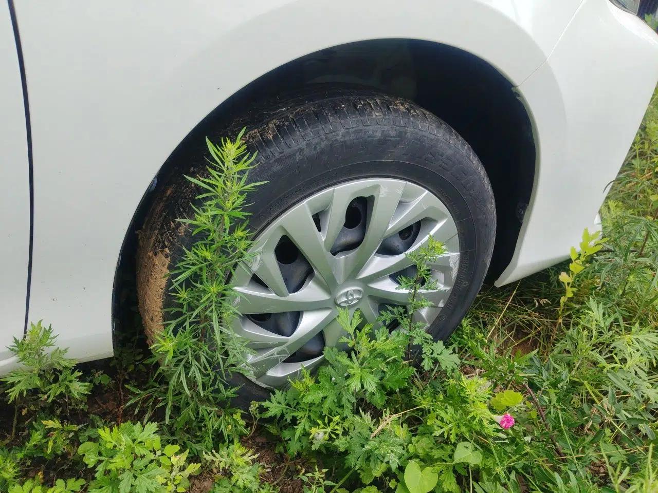 Toyota Vios 2021 1.5L CVT Innovation Edition — миниатюра 8