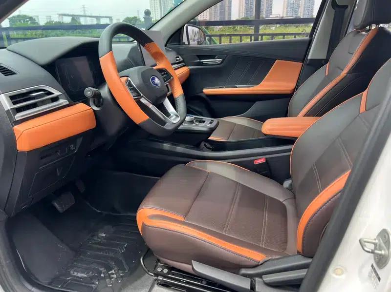 BYD e2 2021 Luxury Edition — миниатюра 8