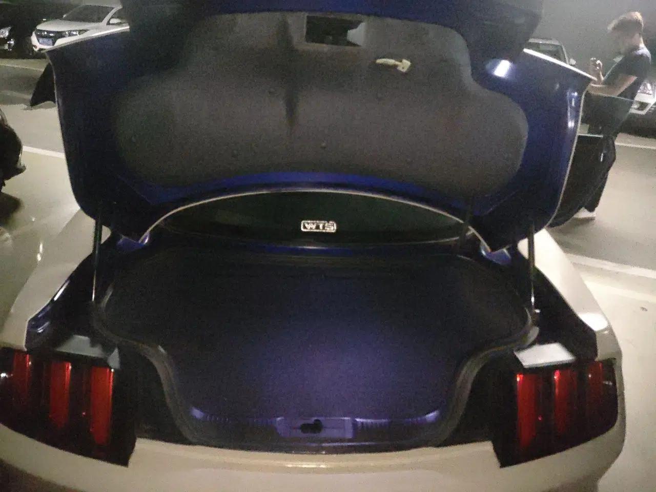 Ford Mustang 2015 2.3T Performance Edition — миниатюра 19