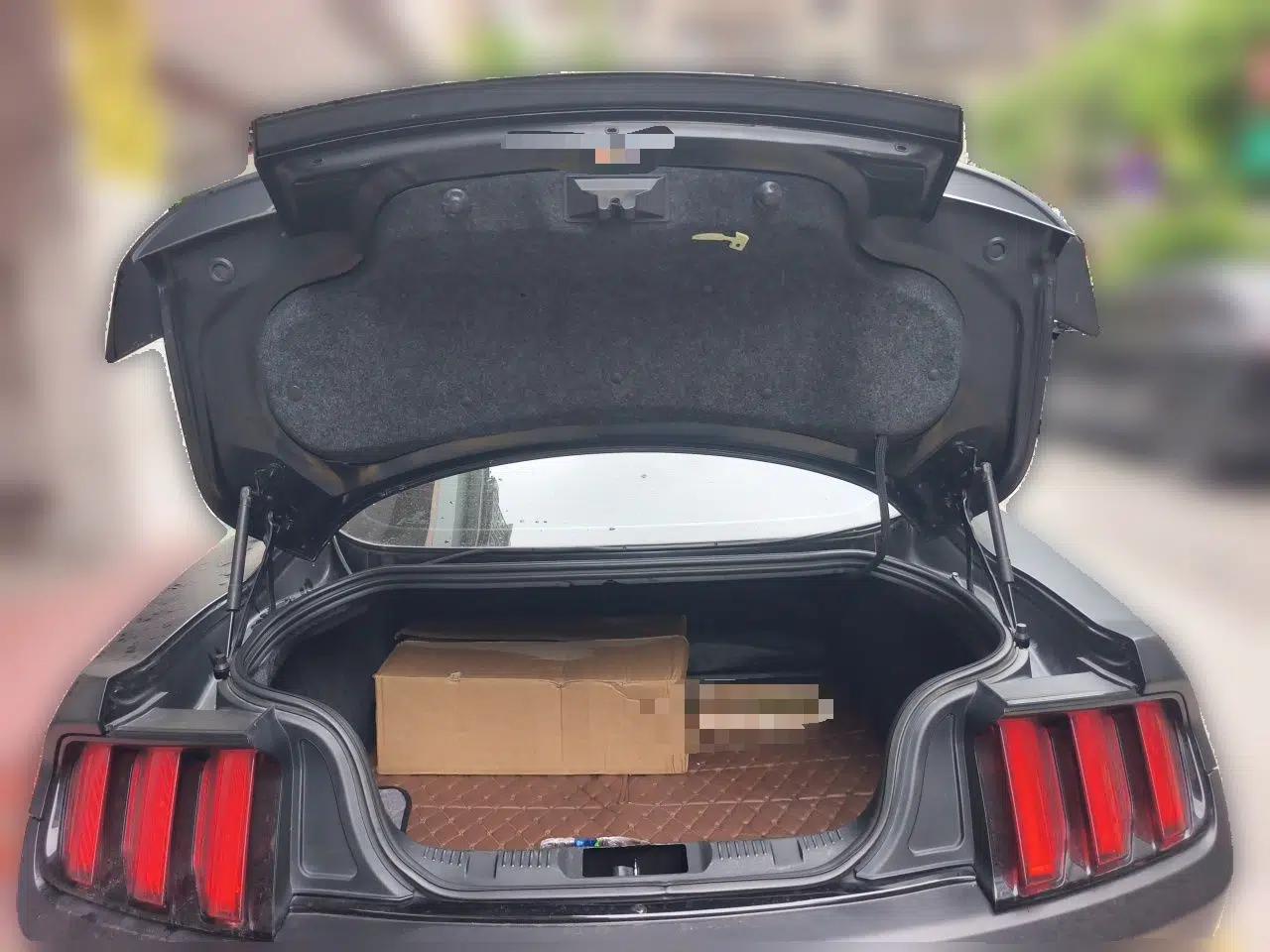 Ford Mustang 2016 2.3T Automatic Hardtop P-Version U.S. Specification — миниатюра 19
