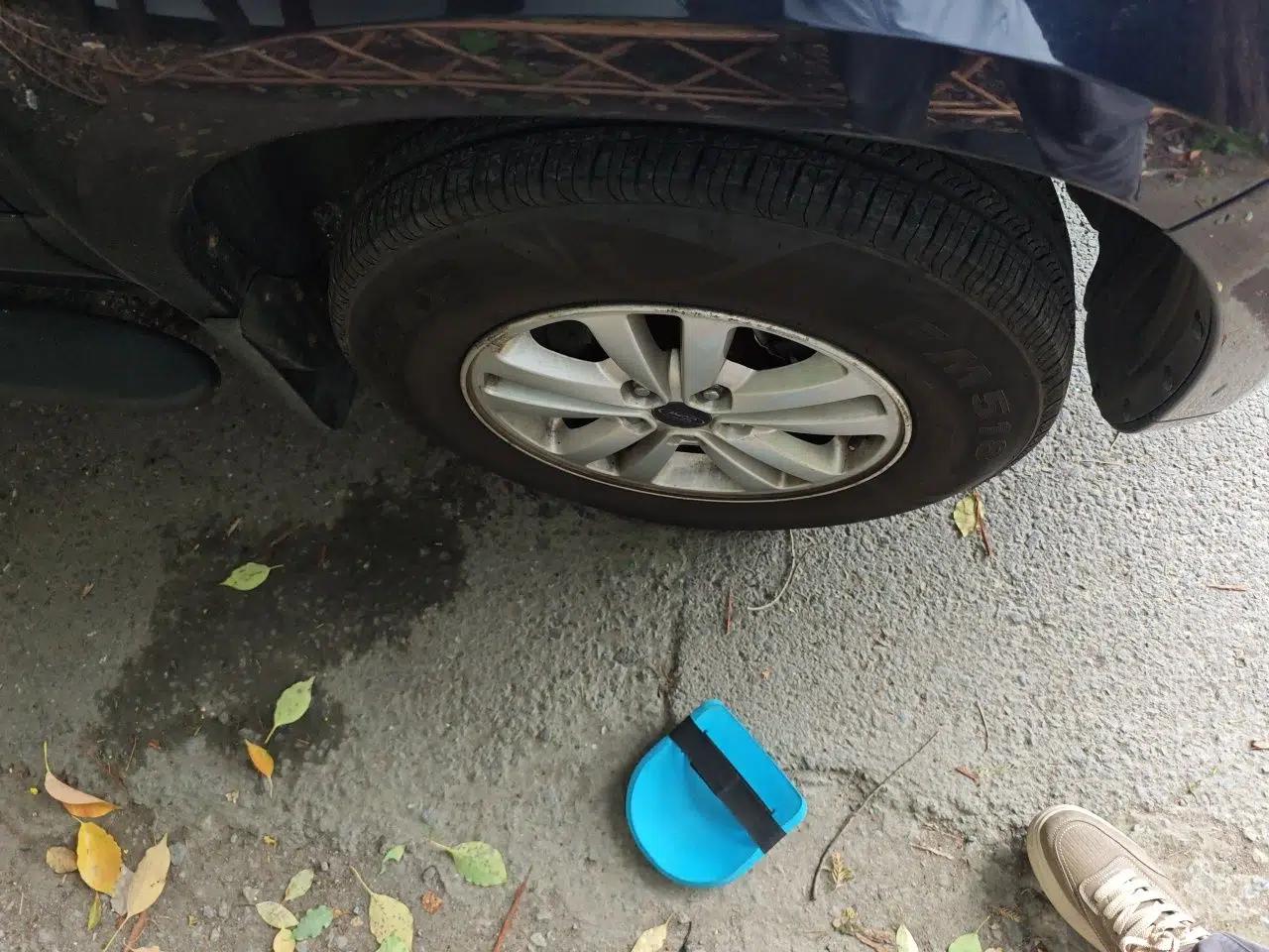 Ford Kuga Wing Tiger — миниатюра 8