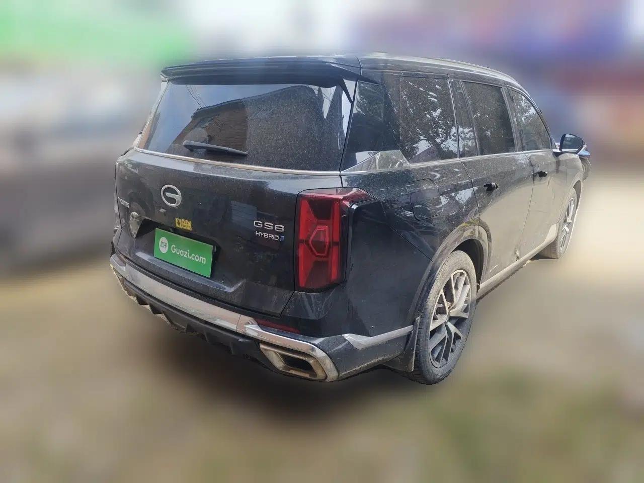 GAC Trumpchi GS8 2022 Dual-Engine Series 2.0TM Two-Wheel Drive Prestige Edition (7 Seats) — миниатюра 6
