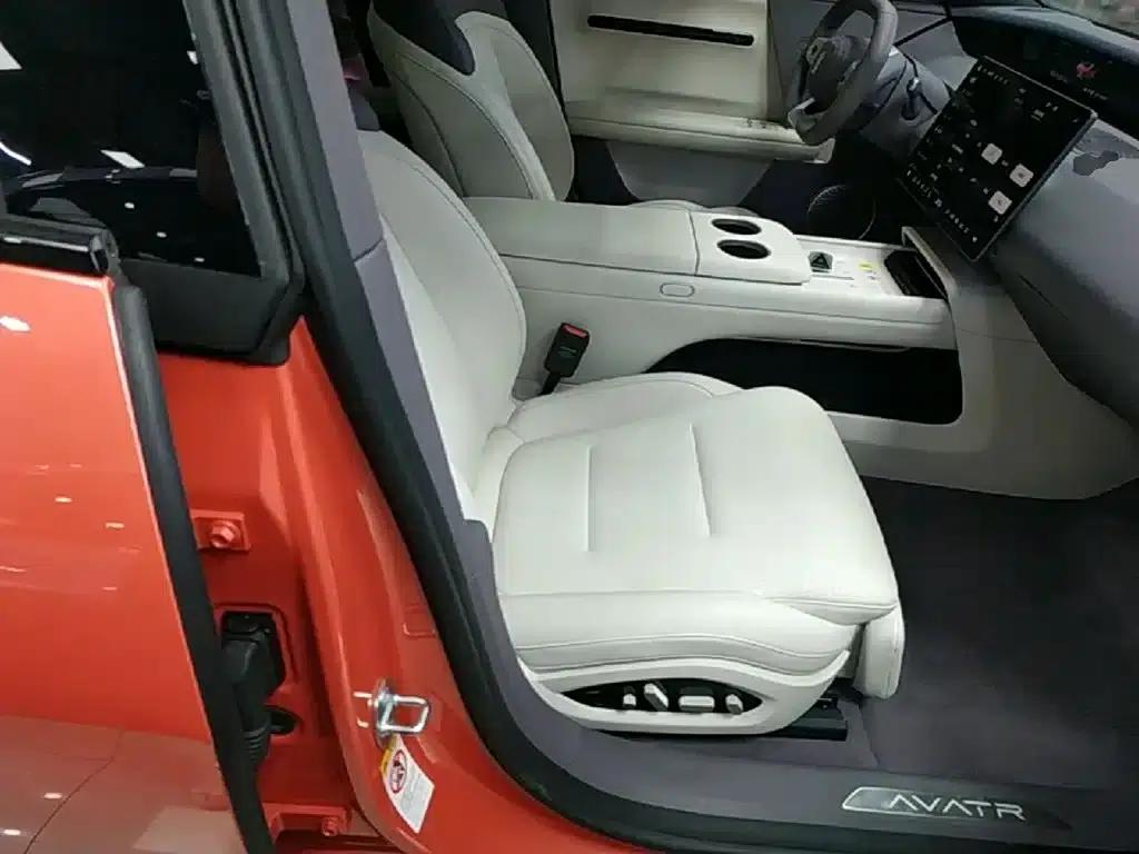 Avita 06 2025 Pro Extended Range — миниатюра 25