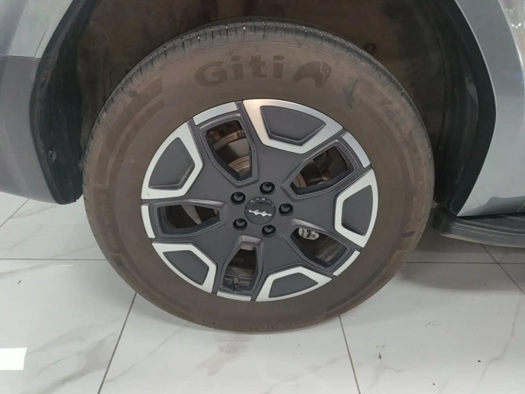Formula Leopard Titanium 7 2025 Model 200 km Two-Wheel Drive Max Edition — миниатюра 11