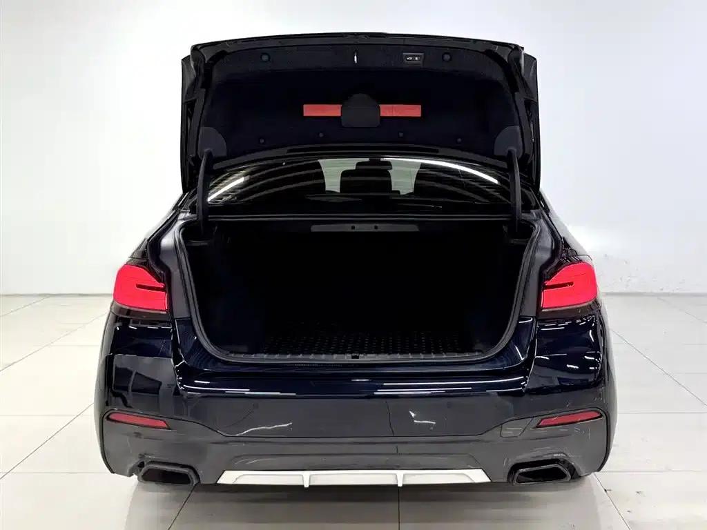 2021 BMW 5 Series Facelift 530Li Luxury M Sport Package — миниатюра 5