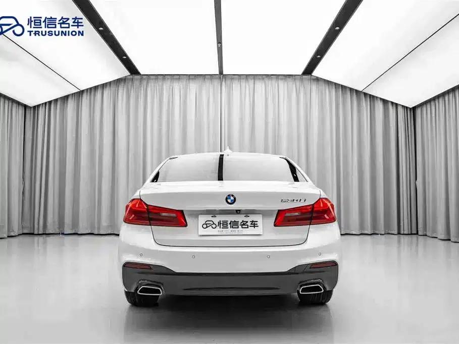 2018 BMW 5 Series 530Li Luxury M Sport Package — миниатюра 6