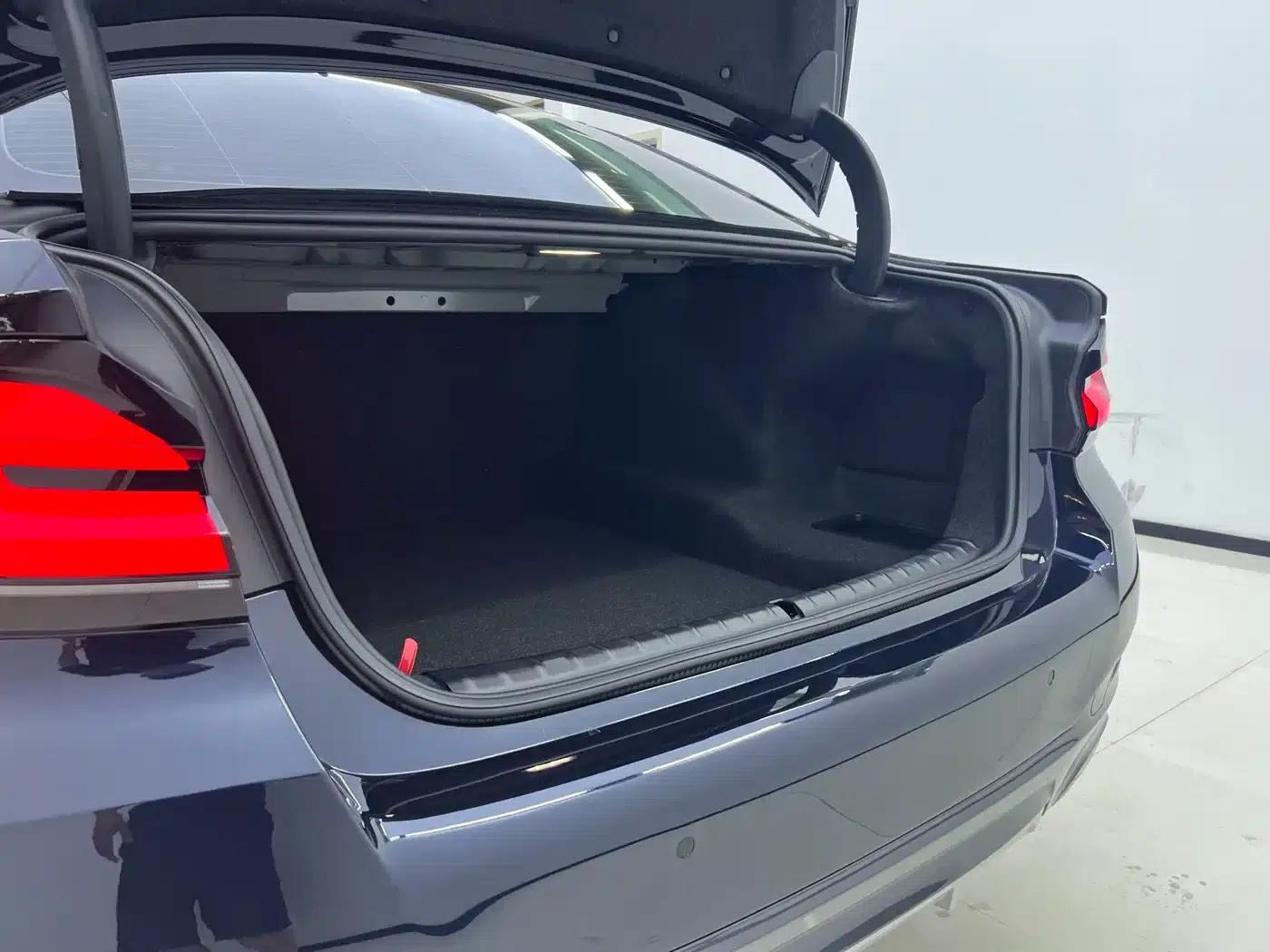 2021 BMW 5 Series 530Li Leading Edition M Sport Package — миниатюра 13