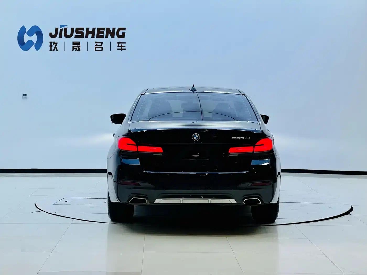 2021 BMW 5 Series 530Li Leading Edition M Sport Package — миниатюра 20