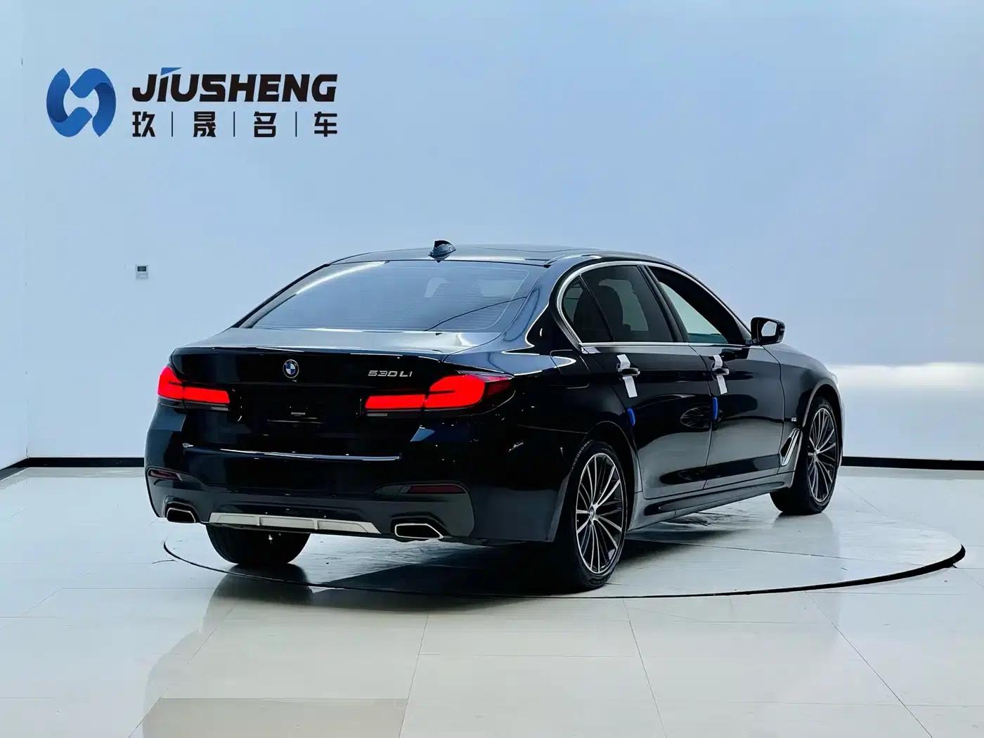 2021 BMW 5 Series 530Li Leading Edition M Sport Package — миниатюра 21